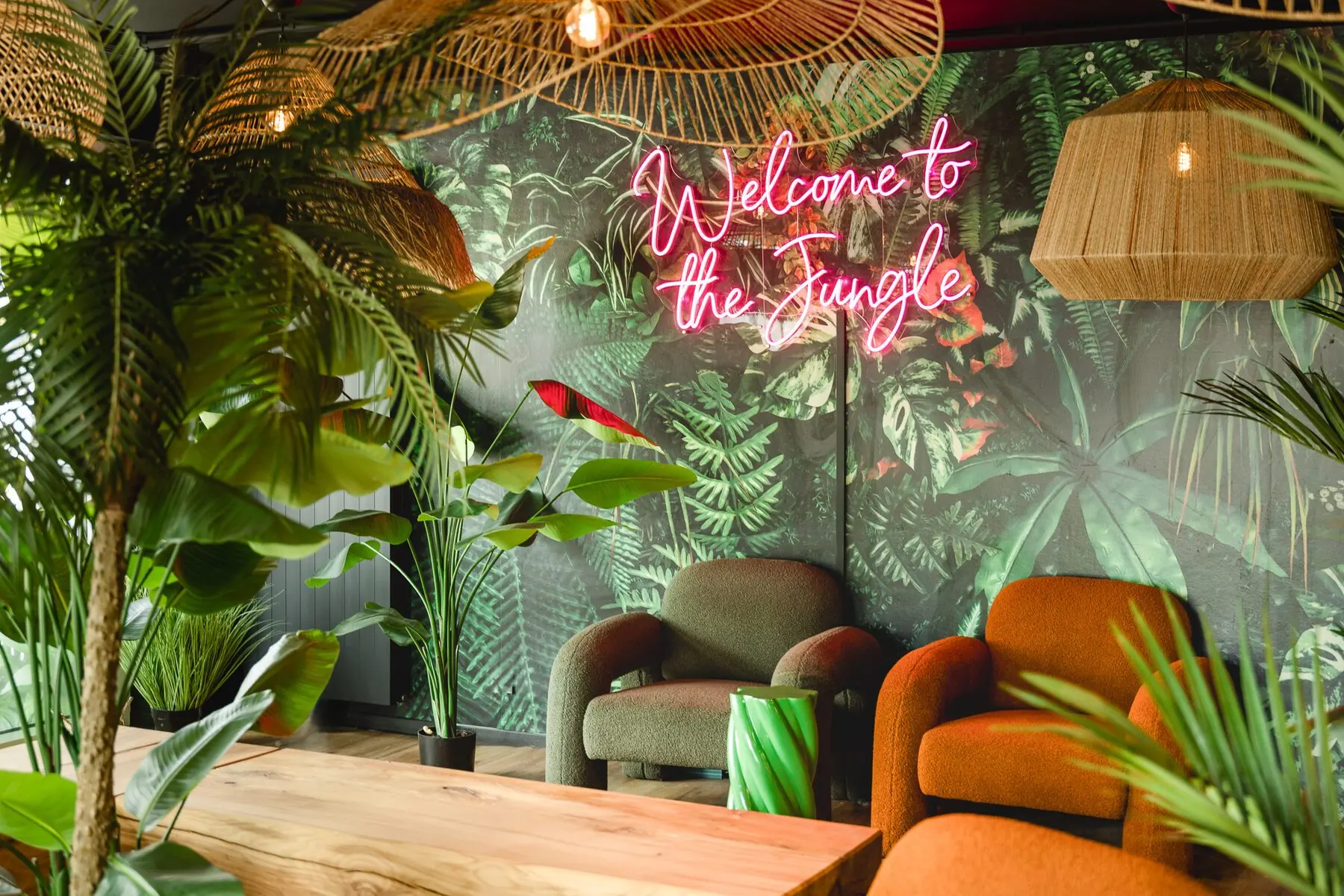 Welcome to the Jungle, the i Live brand atmosphere